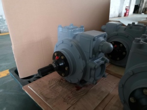 Pompa rotativa della benzina della paletta, pompa dell'olio diesel del Blackmer - Product Image 6