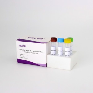 Kit uji bovin pleuroplous sensitivitas tinggi, teknologi pemindai TaqMan kompatibel dengan sistem PCR <span class=keywords><strong>ABI</strong></span> Roche/bio-rad - Product Image 4