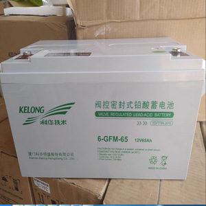 KELONG Valve Regulated Lead Acid <b>Battery</b> 6-GFM-65 12V 65Ah <b>UPS</b> Backup Power - Product Image 4