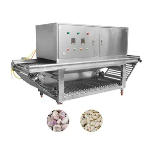 Factory Supply Different Capacity Garlic Skin Peeling Machine
