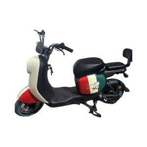 Motocicleta de Dos Ruedas y 500W para Movilidad Doméstica, Motocicleta para el Hogar - Product Image 1