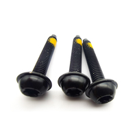 Fixations automobiles SS304 du fabricant Électrophorèse Tête de méson Trox noire Pouce et métrique Boulon de vis de voiture Trox Groove Pad