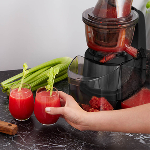 Extracteur de jus lent commercial de haute qualité pour fruits et smoothies, idéal pour la vente en gros - Product Image 3