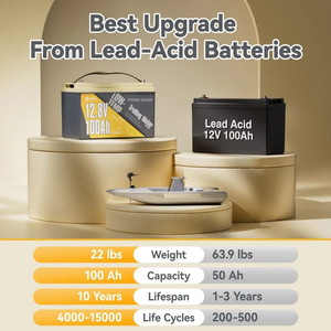 Batterie au lithium LiFePO4 12V 100Ah à décharge profonde - Product Image 4