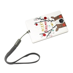 ลำโพงทรง<span class=keywords><strong>บัตร</strong></span><span class=keywords><strong>เครดิต</strong></span>สเตอริโอลำโพงอัจฉริยะไร้สายพร้อมโลโก้แบบมืออาชีพ - Product Image 1