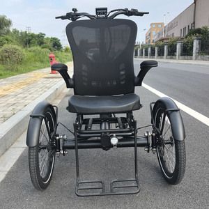 Triciclo Eléctrico de 25 km/h con Motor Central de 48V 250W, Capacidad de Carga de 100-200 kg, Cuadro de Aleación y <span class=keywords><strong>Desviador</strong></span> Hidráulico, Cumple con las Leyes de la UE - Product Image 3