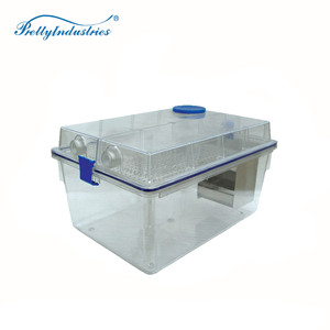 <span class=keywords><strong>Jaula</strong></span> IVC para Ratas de Laboratorio, 420*250*230mm, Modelo TC-25-S8 - Product Image 2