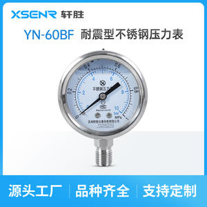 Manomètre en acier inoxydable Suzhou Xuan Sheng 60 mm 1 MPa 10 bars, analogique, double échelle, connexion filetée - Product Image 5