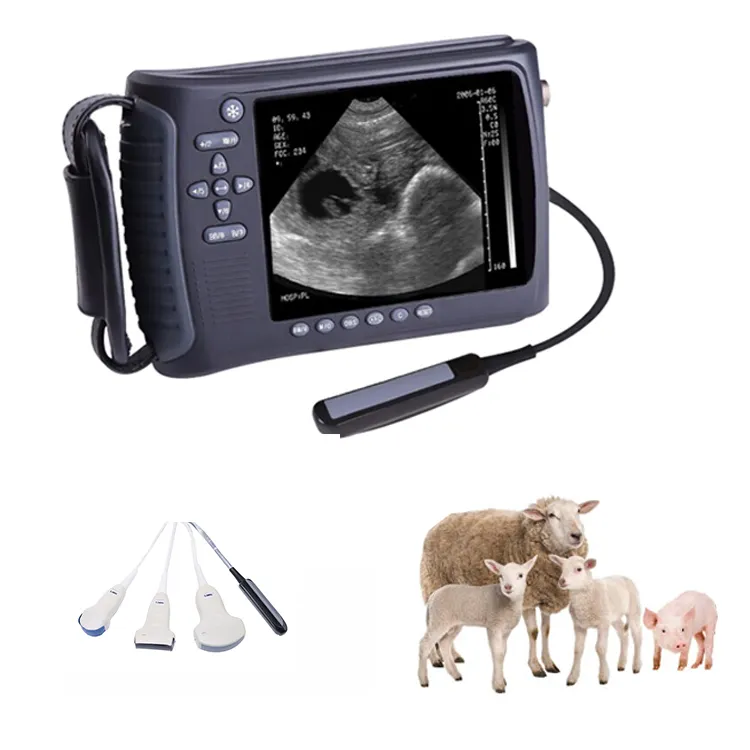 MSLVU22 échographie vétérinaire portable portable pour bovins moutons chien animal grossesse