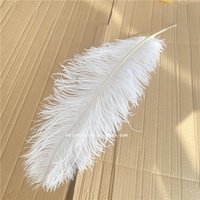 Bricolage grande plume blanche carnaval 70-75cm plume d'autruche pour la décoration de fête