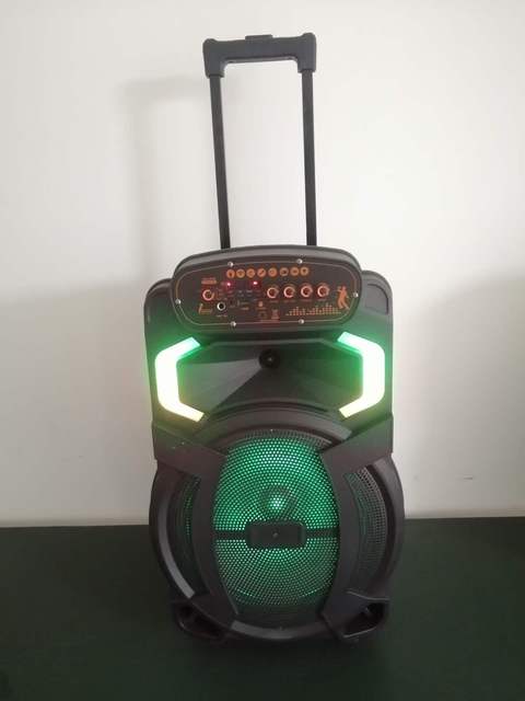 12 Inch Dual Voice Coil Active Trolley Speaker with Mic & AUX & TWS 3000mAh RGB LED Lights  Karaoke Family KTV Outdoor Use