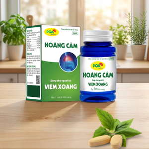 Cápsulas de Scutellaria Baicalensis de Alta Calidad Hechas en Vietnam, Refuerzo Inmunológico para el Asma y el Dolor de Cabeza, Salud para Mujeres Embarazadas - Product Image 3