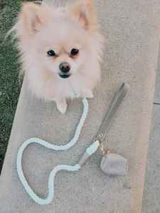 Porte-sac à déjections canines et distributeur de sacs à crottes en nylon fait main personnalisé avec rivets, cadeaux pour garçons et filles - Product Image 3