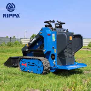 सबसे ज्यादा बिकने वाला डीजल स्किडडडडस्टीड रिमोट कंट्रोल मल्टीफंक्शनल क्रॉलर हाइड्रोलिक स्किड-4-इन-1 बाल्टी के साथ - Product Image 1