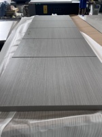 Porte d'entrée en composite bois-plastique WPC Huangshan Sunnytech pour maison, nouvelle conception