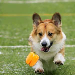 Fabricante al por mayor diseño clásico lindo personalizado perro chirriante juguetes de peluche juguetes orgánicos para mascotas caucho silicona papel látex bambú <span class=keywords><strong>PU</strong></span> - Product Image 3