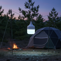 Ampoule LED E27 rechargeable par USB, lumière d'urgence, batterie portable, utilisation en extérieur, camping, jardin, 20-50W, 6000K, lumière du jour, aluminium + PC