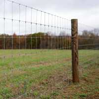Clôture de sécurité en fil de fer tressé haute résistance pour bovins, cerfs, chevaux, champ - Écologique, durable, calibre 12,5, longueur personnalisée