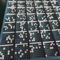 25mm-40mm prix d'usine tamis vibrant boules de nettoyage en silicone
