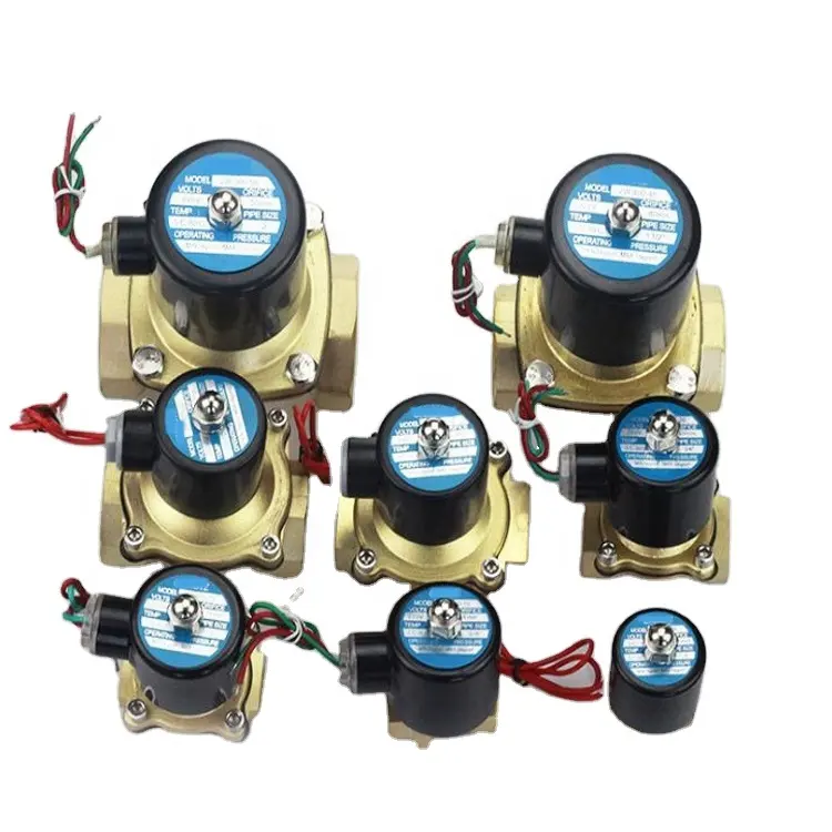 DN10 DN15 DN20 DN25 DN32 DN40 DN50 3/8 1/2 3/4 1 1.2 1.5 2 Inch 2W Normaal Gesloten AC220V DC12V DC24V Solenoid Kogelkraan