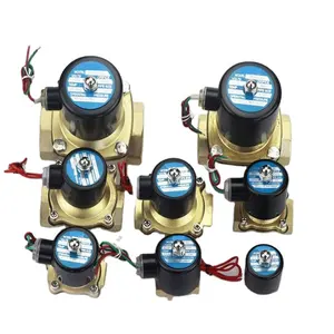 DN10 DN15 DN20 DN25 DN32 DN40 DN50 3/8 1/2 3/4 1 1.2 1.5 2 inch 2W Normally Closed AC220V DC12V DC24V Solenoid ball Valve