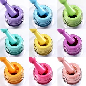 Neissry Builder Poly Complete Pinceau Art Macaron Polish Color Dark Moonlight Cateye Led Lamp Ai for Factory - Product Image 3