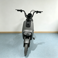 Vélo électrique pas cher 48V 2 places, vélo électrique 350W, vélo électrique pour trajets urbains, vélo électrique pour la ville en Amérique du Sud