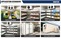 Conteneur frigorifique ISO approuvé 20 pieds 40 pieds, chambre froide, conteneur réfrigéré 20 40 pieds pour le stockage de viande et de volaille fraîches