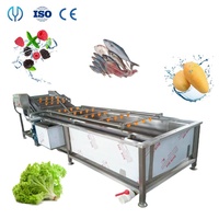 Machine automatique de nettoyage et de blanchiment des frites de pommes de terre, machine à laver à bulles, ozone pour le gingembre