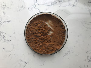 Заводская распродажа, хорошее качество, экстракт Ganoderma Lucidum - Product Image 5