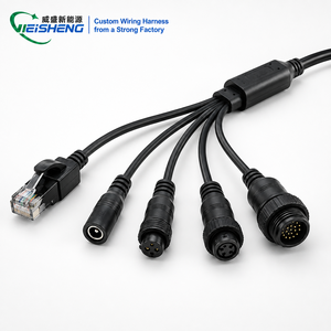 Arnés de Cableado Interno de Paso Pequeño para Cámara IP - Conjunto de Cable con Microconector para Seguridad - Product Image 1