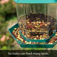 Mangeoire à oiseaux suspendue moderne pour l'extérieur, étanche, distributeur automatique de nourriture pour balcon, cour, alimentation des moineaux sauvages