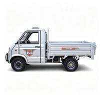Mini camionnette hybride rechargeable LHD avec benne hydraulique basculante, camion de transport 4 roues CKD/SKD, batterie au lithium 2000W pour le transport agricole