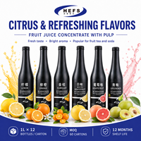 Fruitconcentraat, gekleurd en gearomatiseerd met echte vruchtvlees, 1L/fles * 12, multi-warehouse voorraad (VS/MY/RU) voor foodservice