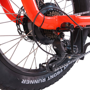 Vélo <span class=keywords><strong>cargo</strong></span> électrique à pneus larges <span class=keywords><strong>de</strong></span> 20 pouces, 48V 500W, capacité <span class=keywords><strong>de</strong></span> charge <span class=keywords><strong>de</strong></span> 200 kg, livraison sur le dernier kilomètre, vélo électrique - Product Image 5