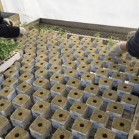 Mineral Wool Grow Cubes Hydroponic Mineral Wool for Plant Propagation Tomato Growing Stone Wool Farm Agricultural Grow Cubes