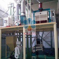 Nouvelle machine à granulés d'aliments pour animaux à haute productivité pour le traitement du maïs, capacité de 10 tonnes/heure, usine de production de farine de maïs