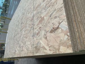 Panneaux en bois OSB en gros, OSB2, OSB3, <span class=keywords><strong>OSB4</strong></span>, 6 mm, 18 mm - Product Image 5