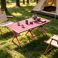 Table de camping pliable, résistante aux rayures et imperméable, avec quatre pieds antidérapants en caoutchouc, idéale pour les activités en extérieur au bord du lac, la cuisine et les fêtes.