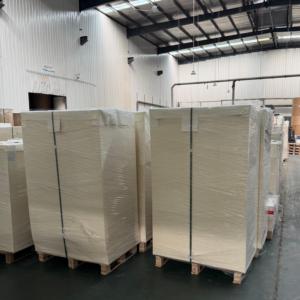 Gobelet en papier écologique recyclable en feuille 150-320 GSM, enduit PE double face, haute rigidité, pour la fabrication de gobelets en papier jetables - Product Image 1