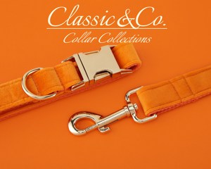 Ensemble de laisse de nœud papillon coloré, collier de chien réglable orange, ensemble de plomb de collier de boucle en métal de nom d'animal gravé personnalisé pour les chiots - Product Image 4