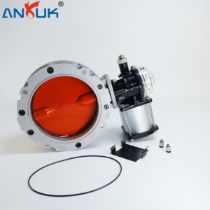 Valvola a Sfera Pneumatica per Polveri DN32 DN50 DN65 Tipo Grande Volume per Scarico Silo Miscelatore Caricamento Flusso Pneumatico - Product Image 4