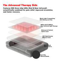 Appareil de thérapie par lumière rouge ILUXRED pour animaux, équipement vétérinaire professionnel de thérapie LED infrarouge proche pour chiens et chats, vente en gros