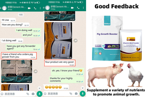 Sow <strong>Feed</strong> <strong>Additive</strong> Pig Weight Gain Animal Growth Fast <strong>Feed</strong> Piglet Growth Booster Increase Pig Meat <strong>Feed</strong> - Product Image 4