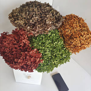 Arreglo <span class=keywords><strong>de</strong></span> flores <span class=keywords><strong>de</strong></span> hortensia Anna preservado natural hecho a mano precio <span class=keywords><strong>de</strong></span> fábrica para el día <span class=keywords><strong>de</strong></span> la madre - Product Image 3