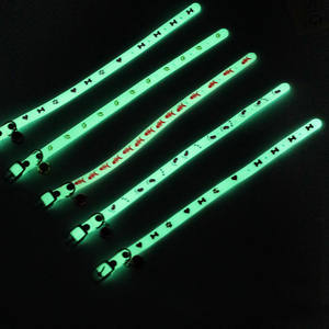<span class=keywords><strong>Collier</strong></span> de <span class=keywords><strong>chat</strong></span> lumineux brillant petit <span class=keywords><strong>collier</strong></span> de chien Anti-perte <span class=keywords><strong>Fluorescent</strong></span> Silicone <span class=keywords><strong>chat</strong></span> cloche <span class=keywords><strong>collier</strong></span> cou anneau Pet <span class=keywords><strong>chat</strong></span> accessoires - Product Image 2