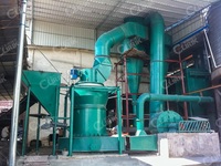 Ligne de production de broyage de poudre de charbon actif, de craie noire, de graphite, de chaux et de gypse, broyeur Raymond