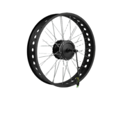 Moteur de moyeu pas cher pour vélo électrique Fatbike 250W 350W 500W, moteur de moyeu sans balais à engrenages, kit de conversion de vélo électrique avec écran LCD SW900