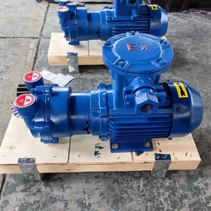 <span class=keywords><strong>Pompe</strong></span> à vide à anneau liquide 2BV antidéflagrante, <span class=keywords><strong>pompe</strong></span> à anneau d'eau à compression <span class=keywords><strong>isotherme</strong></span> pour l'aspiration de gaz inflammables - Product Image 1
