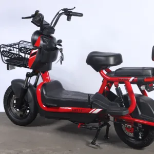 중국 도매 OEM 공장 가격 전기 자전거 48V 20AH 2 좌석 전기 스쿠터 성인 사이클 전자 자전거 부품 전기 자전거